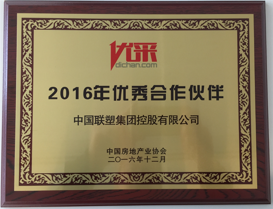 2016年优秀合作伙伴(中国LETOU乐投)
